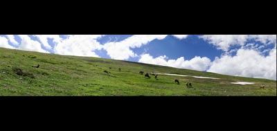 86218-400x189
