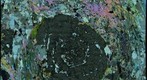 Thin Section of Garnet Schist from the Chester Dome, Vermont