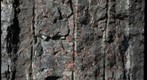 Gore Mountain Garnets in the Quarry Wall (Macro)