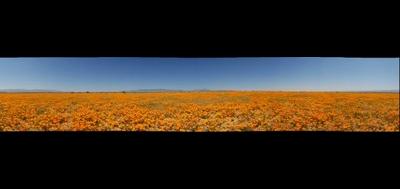 8638-400x189