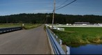 Carnation Farm