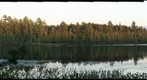 Harris Lake Sunset