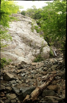 86433-234x360