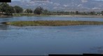 110904 Goleta Devereux slough birding area 