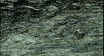 Thin Section Photograph of Graphitic Schist from Mount Greylock, Massachusetts