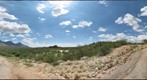 Catalina State Park, Arizona: August 14, 2011