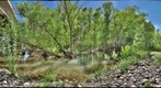 Verde River, Dead Horse Ranch State Park, Arizona