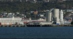 Dunedin