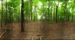 Dairy Bush GigaPan - 106 - September 07 2011