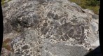 Glacially Polished Outcrop in Nepheline/Sodalite Syenite