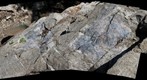 Sodalite Pods (Handheld)