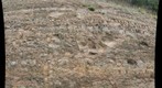 Bergton Outcrop 2