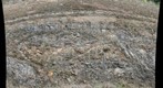 Bergton Shot 5