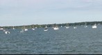 Cute Dog with  sun glasses in Little Neck Bay, New York 