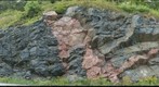 Granitic Dikes in a Roadcut