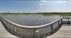 Brazos Bend State Park, Texas