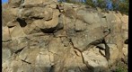 Gowganda Formation Tillite (Detail)
