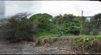 Sea Turtle Hatchery, Playa Hermosa, Nicaragua