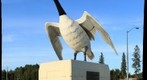 The Wawa Goose