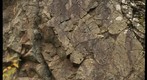 2.75 Ga Pillow Lava