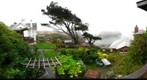 North Coast Fog