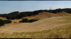 Morgan Territory Regional Wilderness