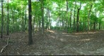 Dairy Bush GigaPan - 107 - September 14 2011