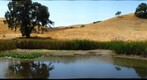 Morgan Pond