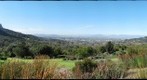 Kirstenbosch National Botanical Gardens, image 3