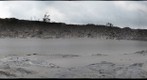 Climbing Dunes - #1