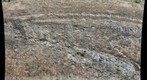 Bergton Outcropping 6