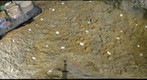 Castanet Excavation 2008