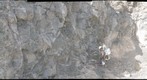 LerB-20110902-161535-GPN