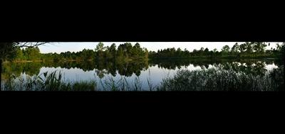 8743-400x189
