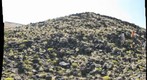 LerB-20110907-155146-GPN
