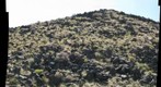 LerB-20110907-163314-GPN