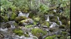 Falls Creek, Turnagain Arm, Alaska