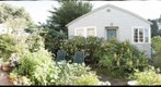 Backyard Garden