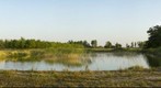 Fishpond