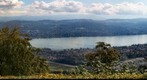 Zuerich