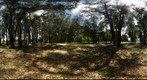 Uribelarrea, monte a la entrada del pueblo