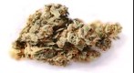 Sativa3