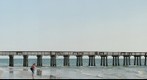 Naples Florida Pier KJ121001-1178