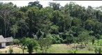 Amazon Farm in the Province of Tahuamanu, Southeastern Peru