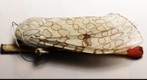 Giant Leopard Moth