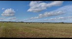 Bales, near Dapp, Alberta