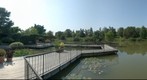Chicago - Botanic Garden - Aquatic garden