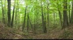 Huntington Museum of Art Trail