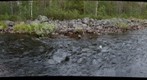 Bjurbacken North