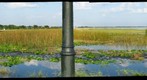 On the Jetty, St. Cloud Lakefront Park, Florida
